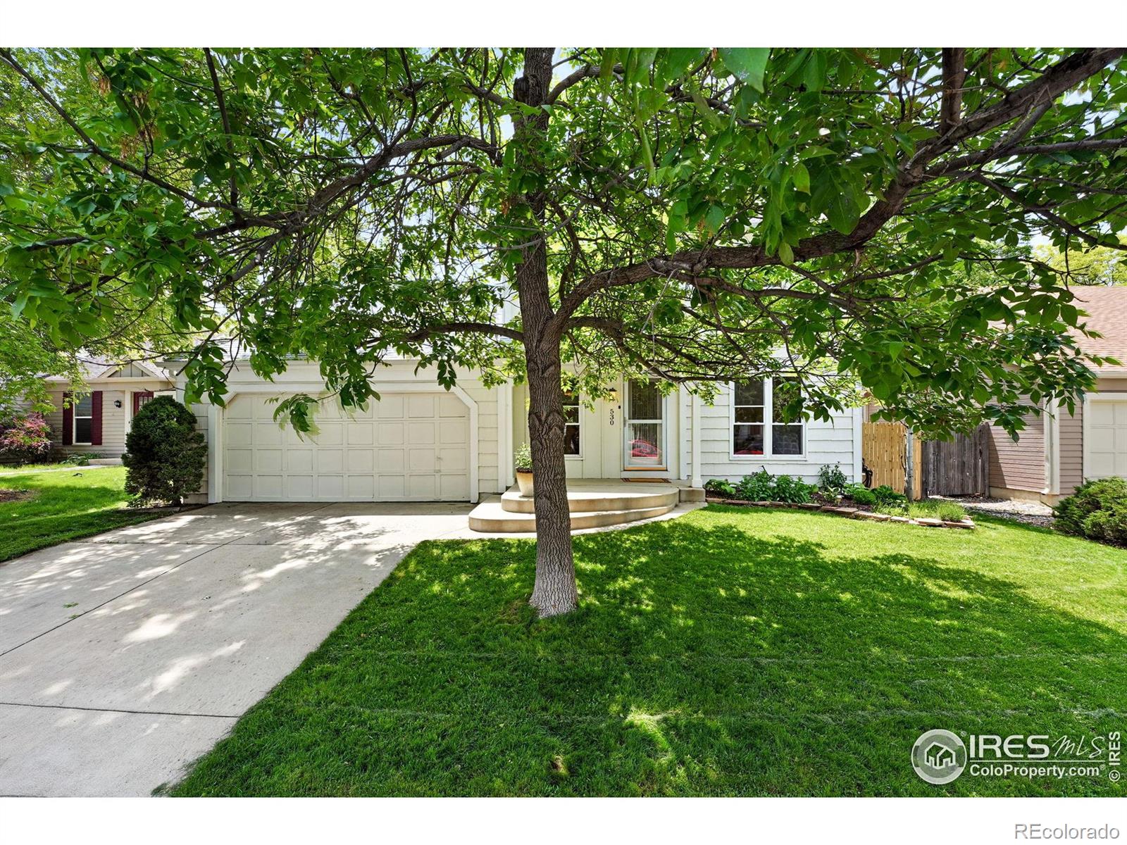 MLS Image #4 for 530 w hackberry street,louisville, Colorado