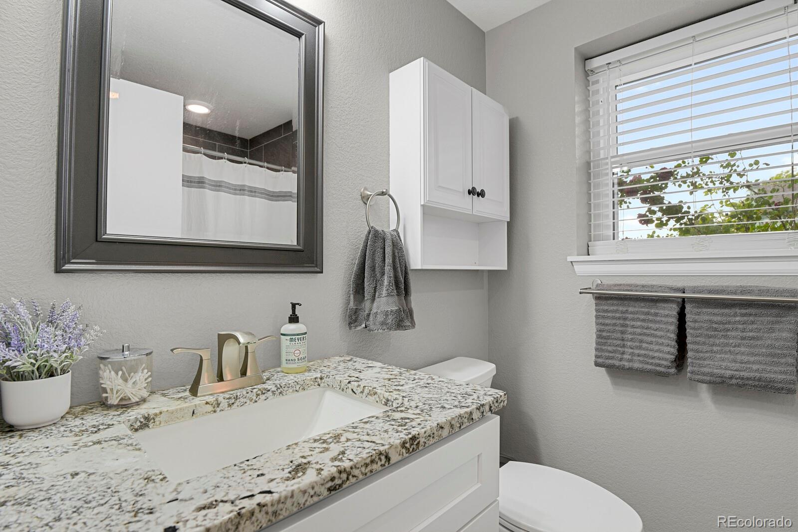 MLS Image #18 for 5870 s perth place,centennial, Colorado