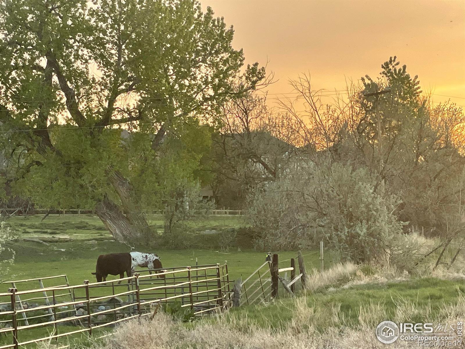 MLS Image #33 for 5821  big canyon drive,fort collins, Colorado