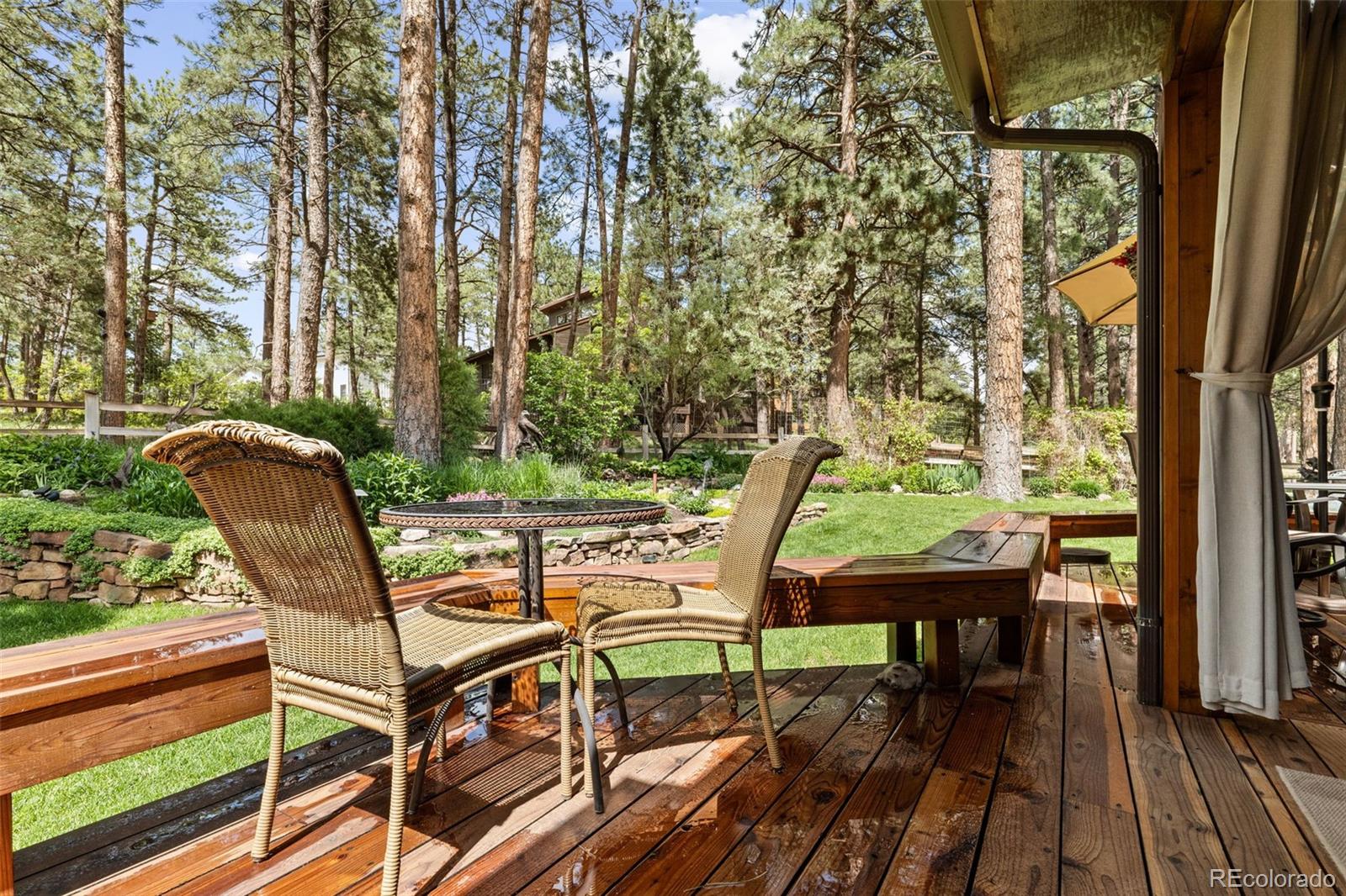 MLS Image #13 for 4407  delaware drive,larkspur, Colorado
