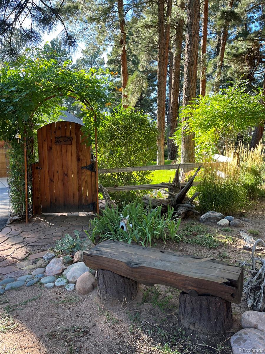 MLS Image #19 for 4407  delaware drive,larkspur, Colorado