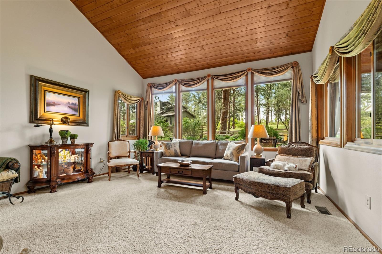 MLS Image #25 for 4407  delaware drive,larkspur, Colorado