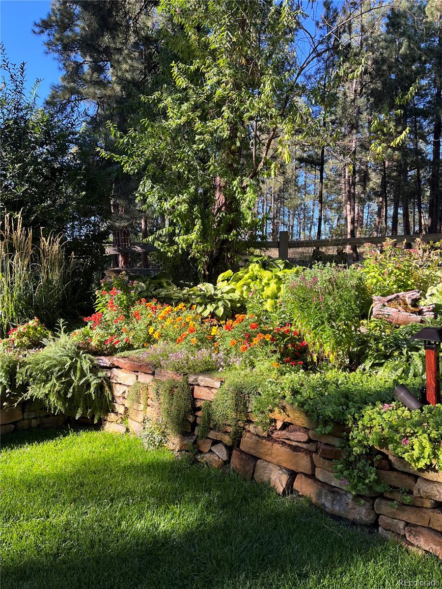 MLS Image #6 for 4407  delaware drive,larkspur, Colorado