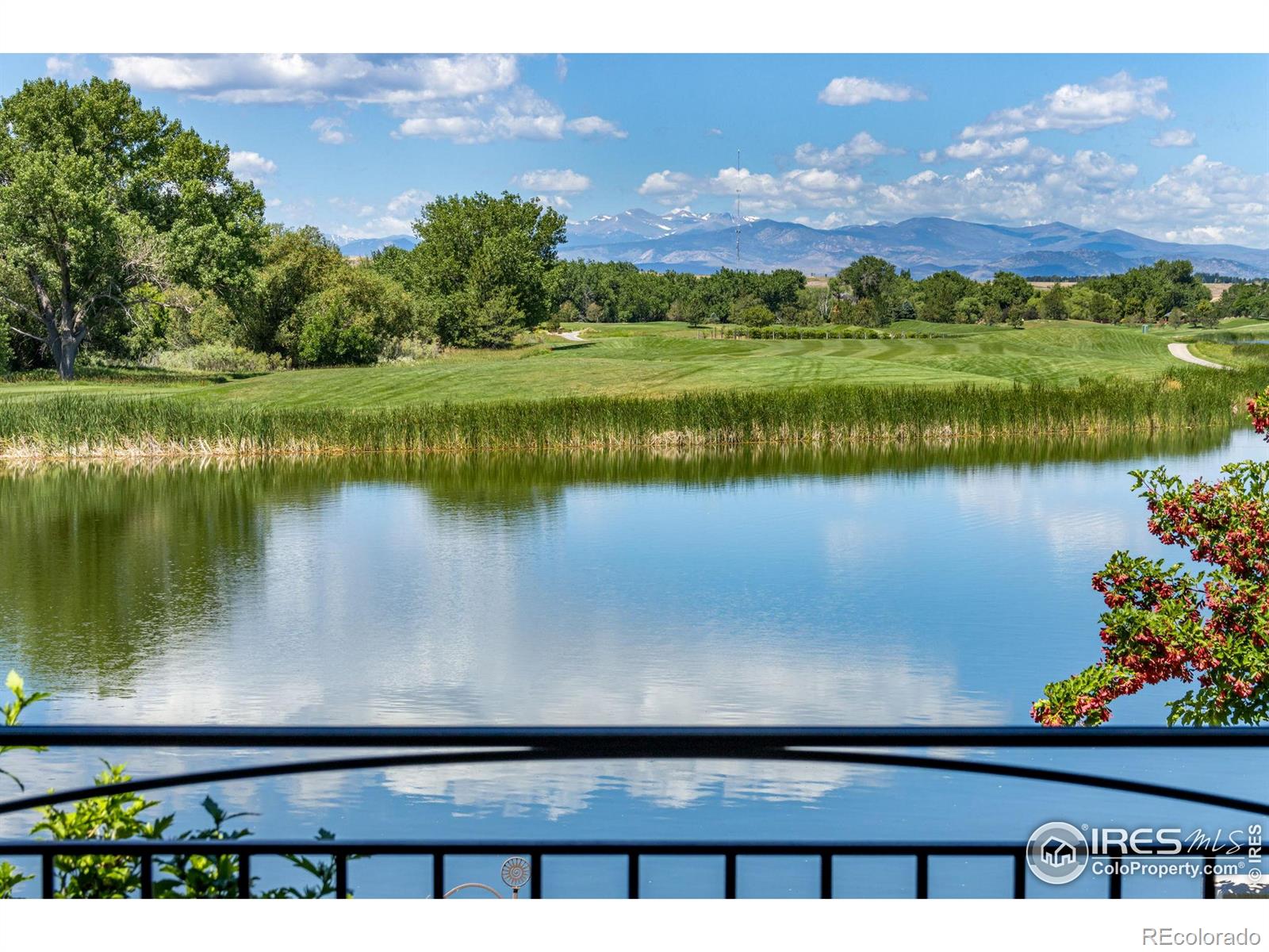 MLS Image #37 for 1769  beachside drive,windsor, Colorado