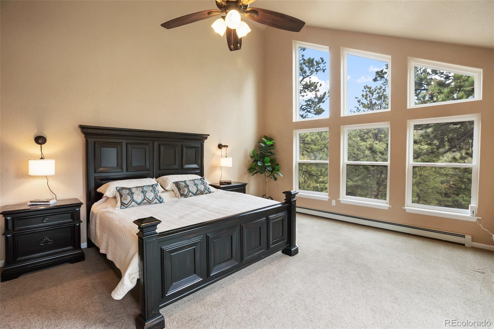 MLS Image #19 for 2100  elk ridge,divide, Colorado