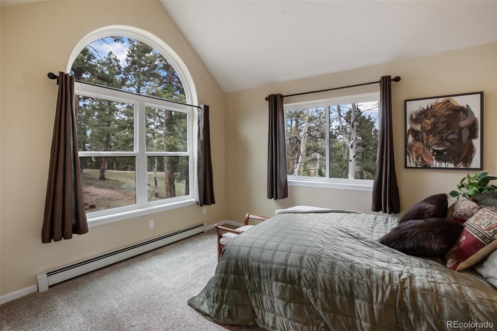 MLS Image #25 for 2100  elk ridge,divide, Colorado