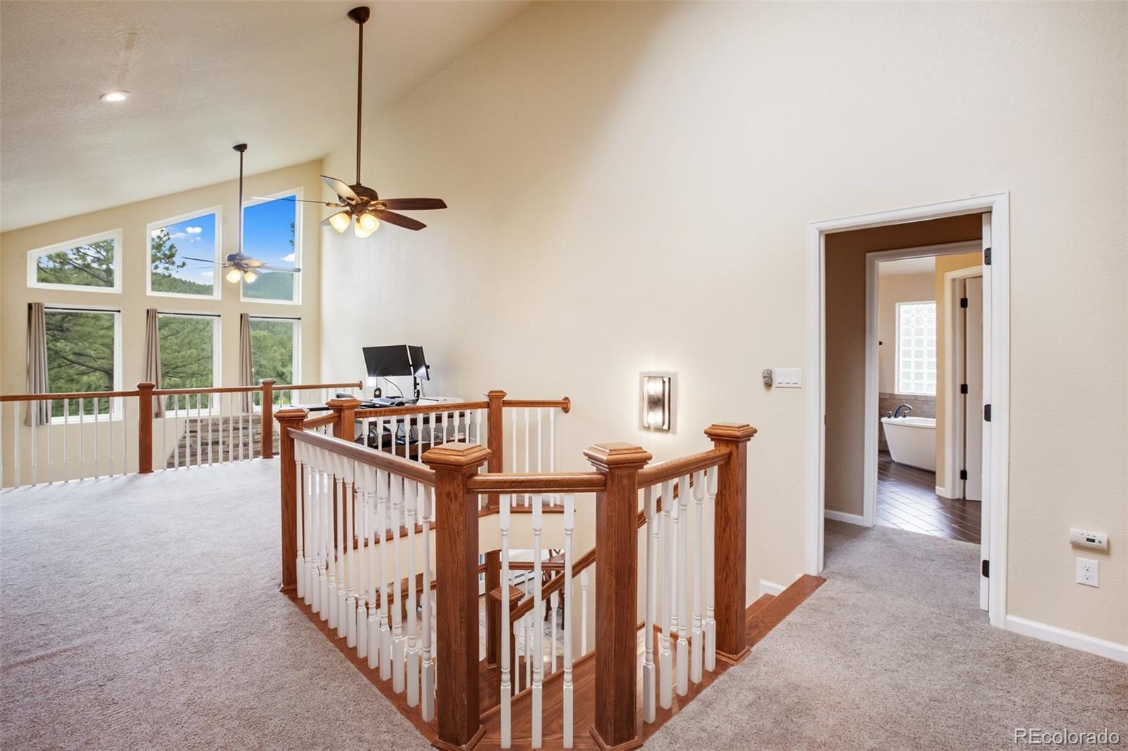 MLS Image #29 for 2100  elk ridge,divide, Colorado