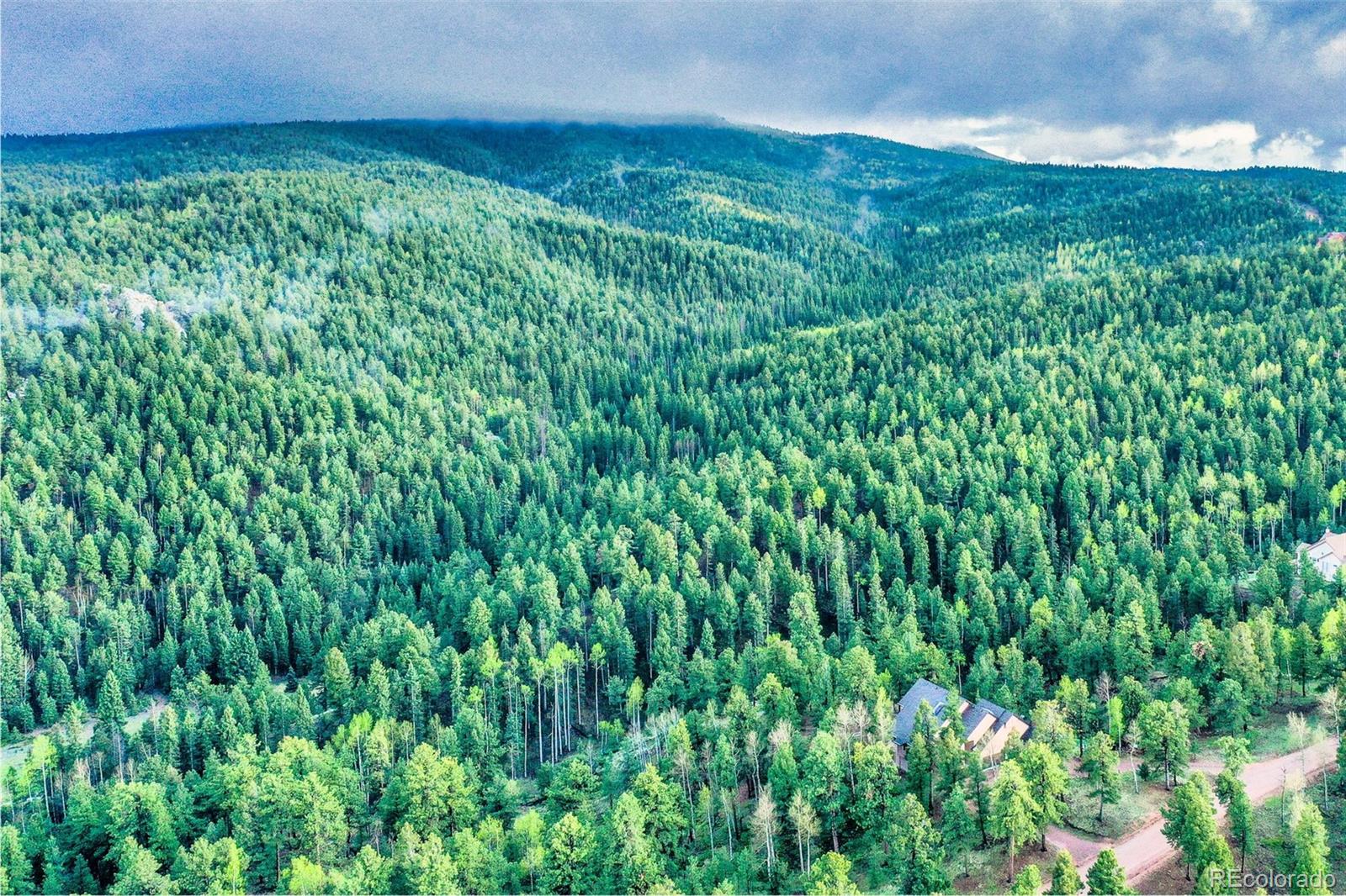MLS Image #43 for 2100  elk ridge,divide, Colorado