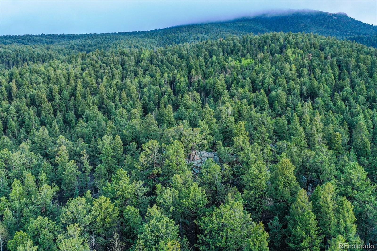 MLS Image #44 for 2100  elk ridge,divide, Colorado