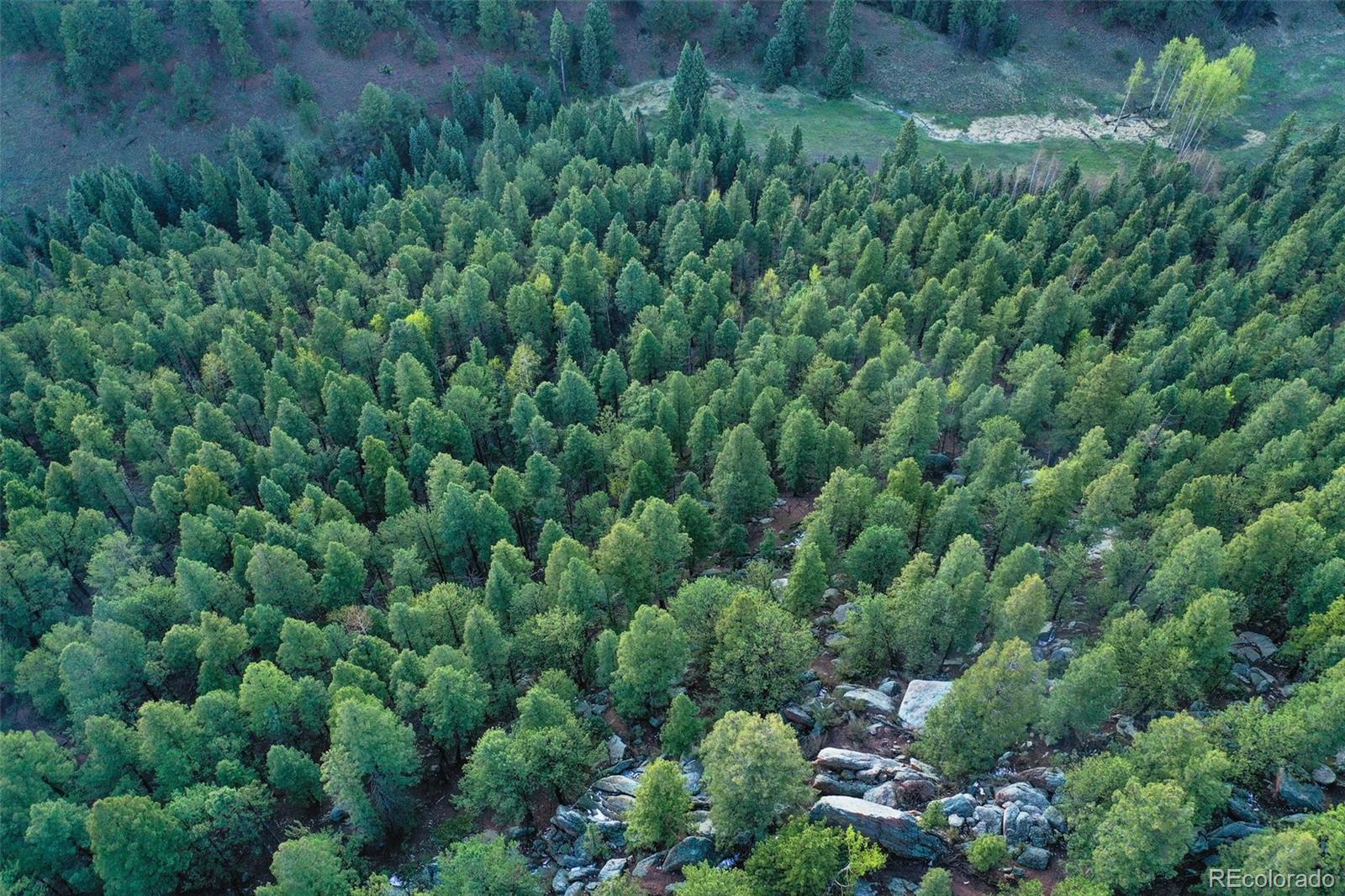 MLS Image #45 for 2100  elk ridge,divide, Colorado