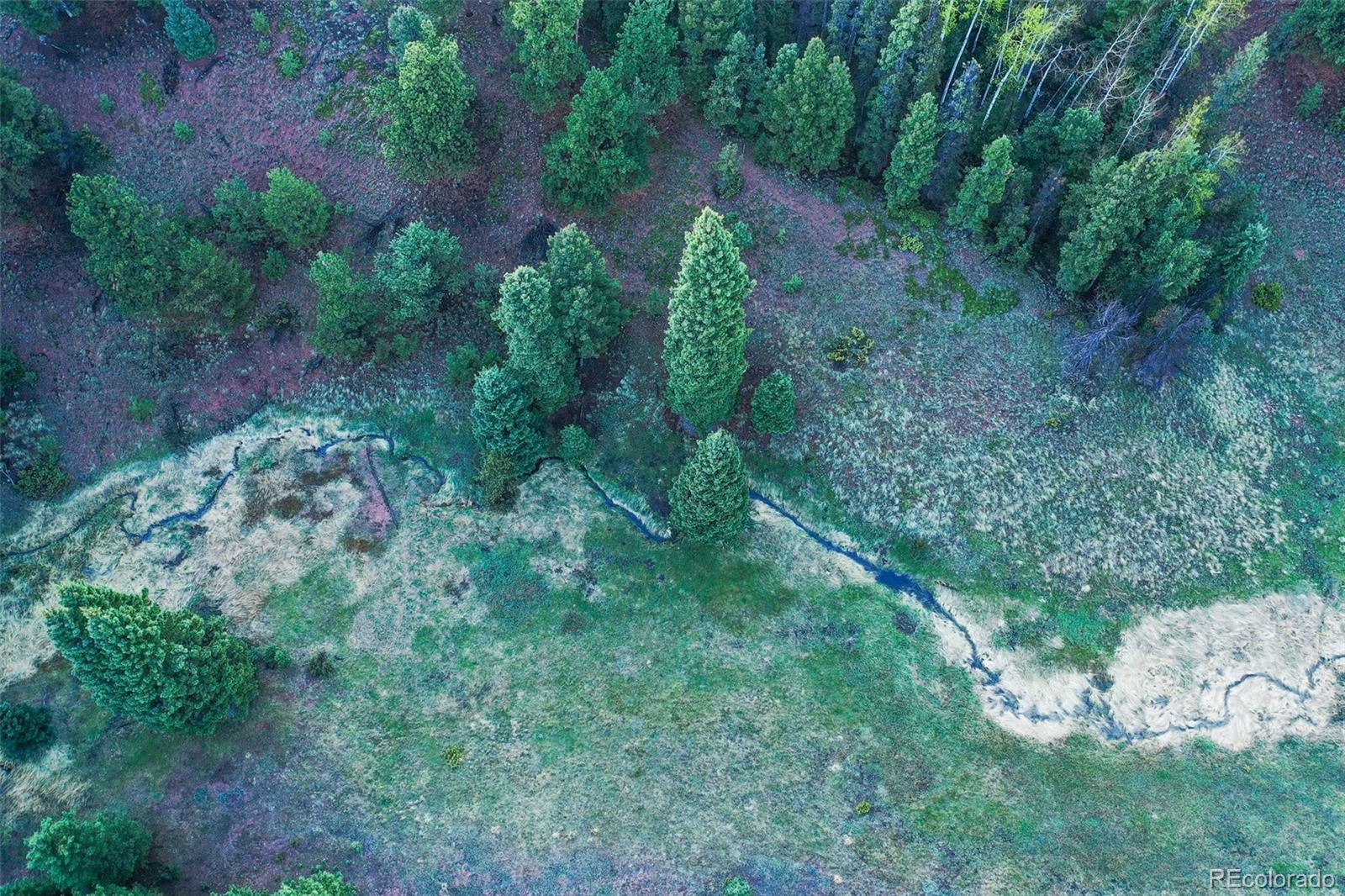 MLS Image #46 for 2100  elk ridge,divide, Colorado
