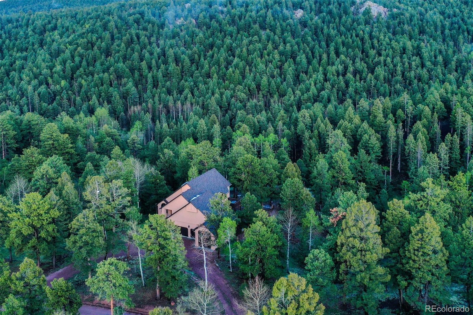 MLS Image #47 for 2100  elk ridge,divide, Colorado