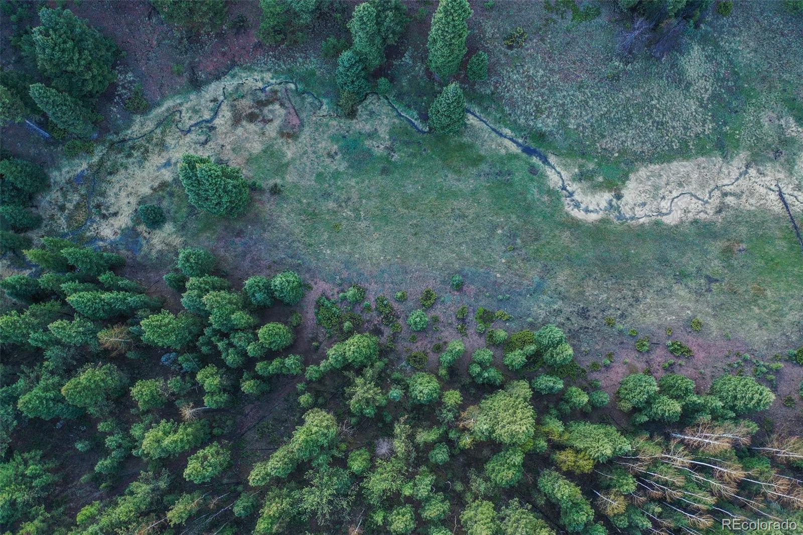 MLS Image #8 for 2100  elk ridge,divide, Colorado
