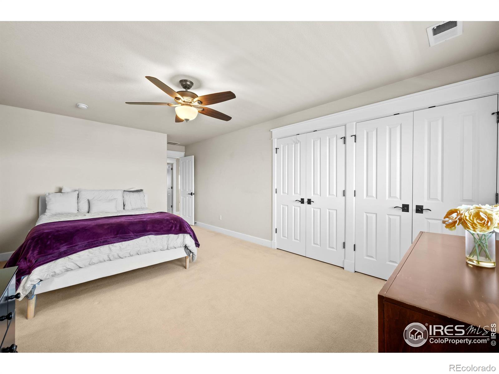 MLS Image #19 for 2005  calico court,longmont, Colorado