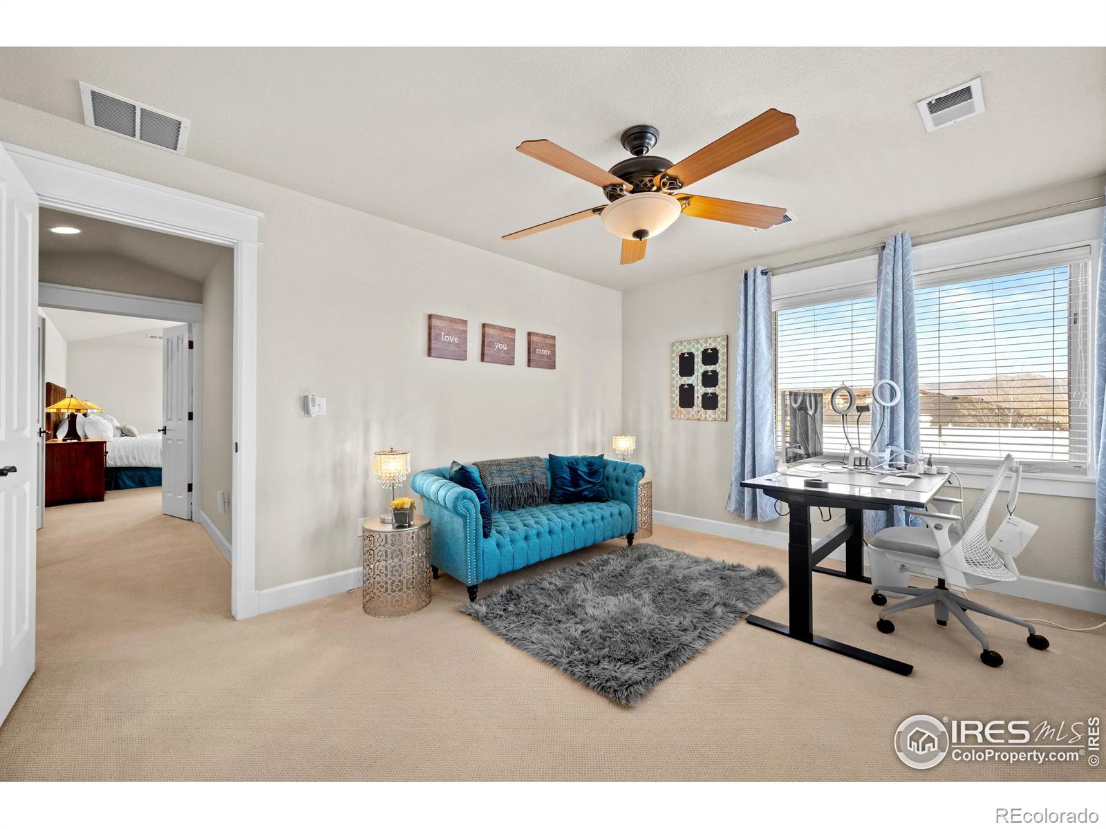 MLS Image #21 for 2005  calico court,longmont, Colorado