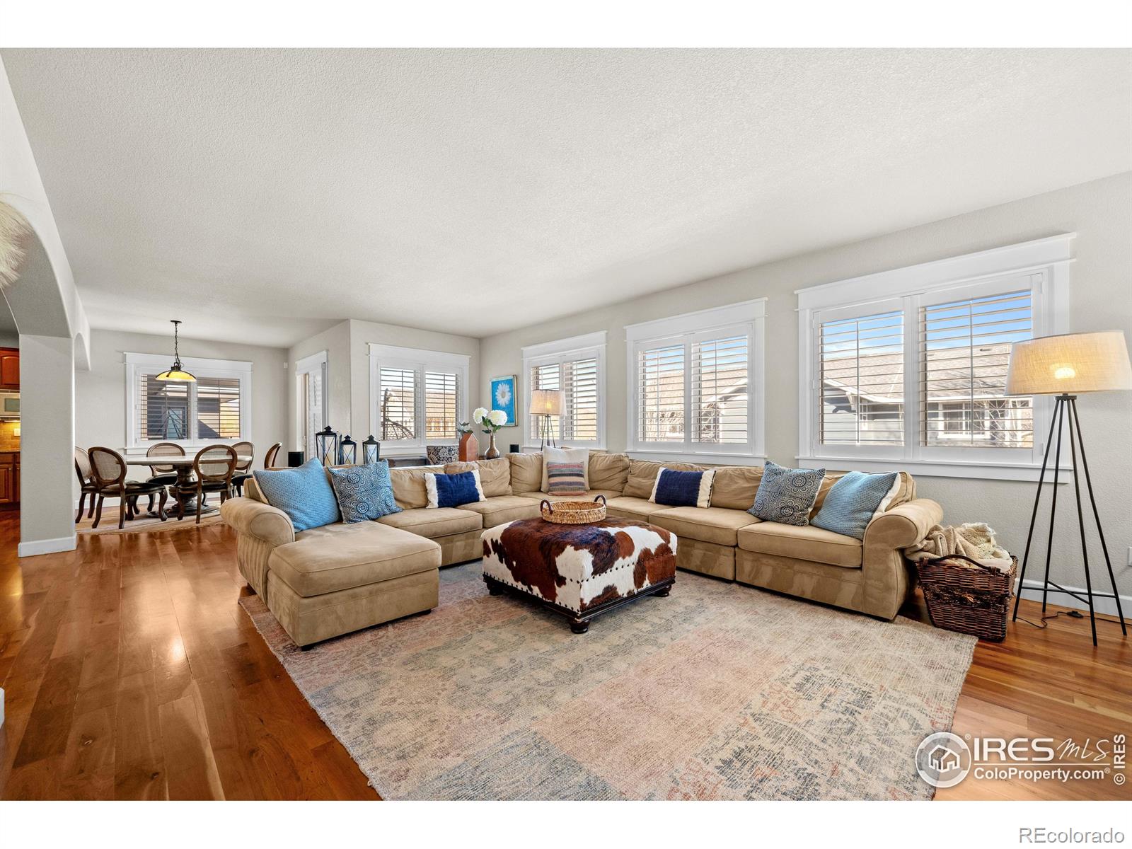 MLS Image #9 for 2005  calico court,longmont, Colorado