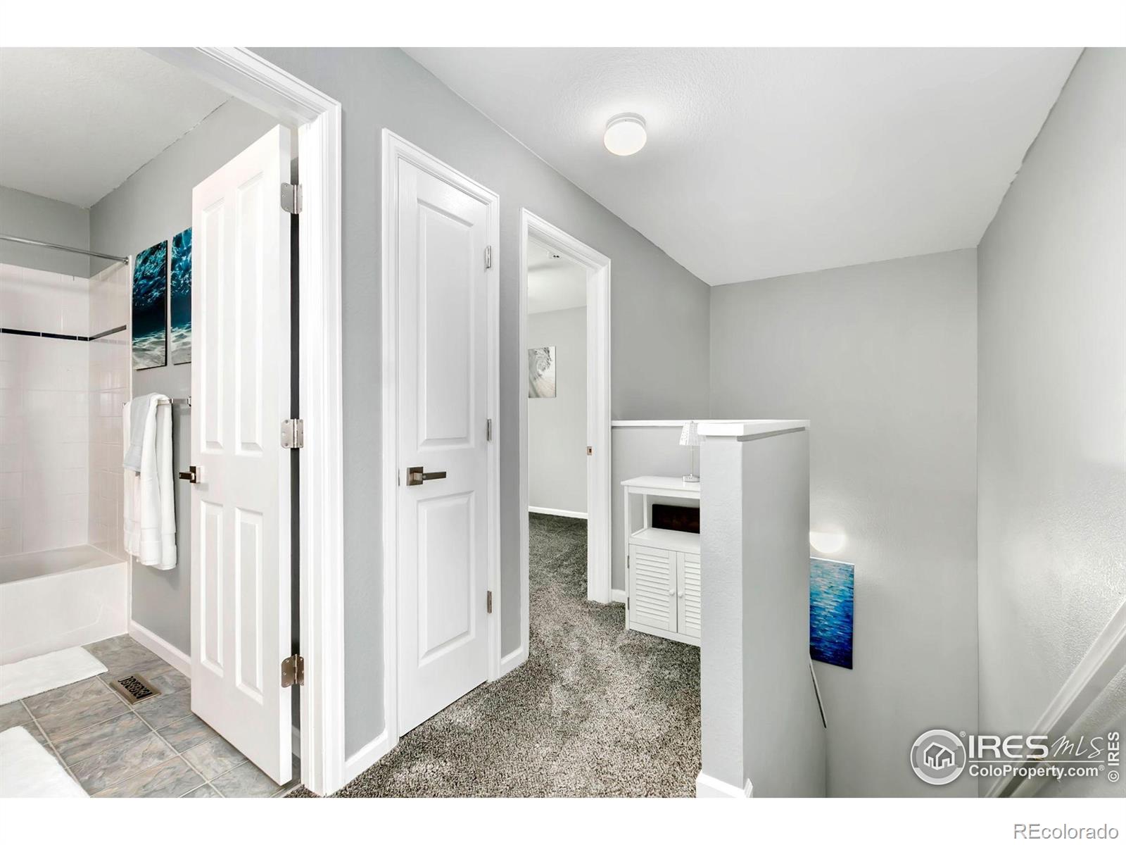 MLS Image #23 for 2808  sage creek road,fort collins, Colorado