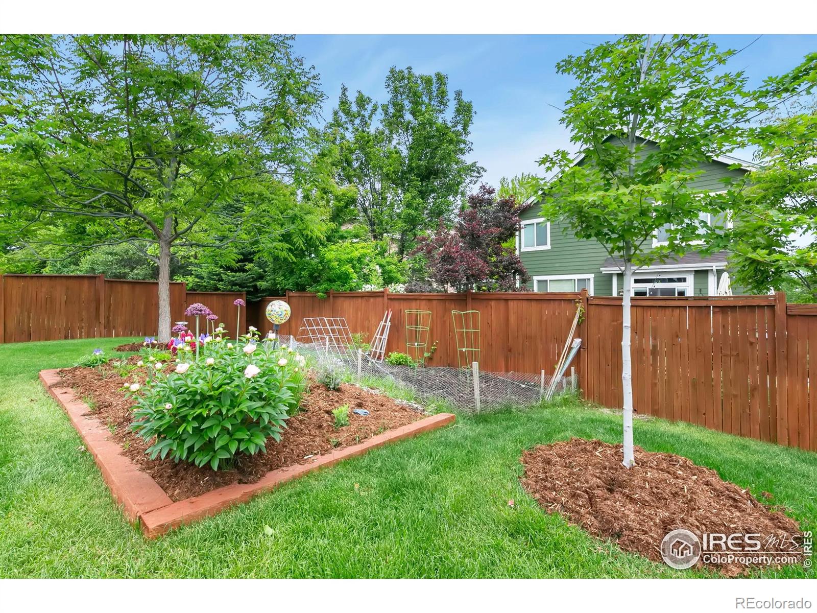 MLS Image #38 for 2808  sage creek road,fort collins, Colorado