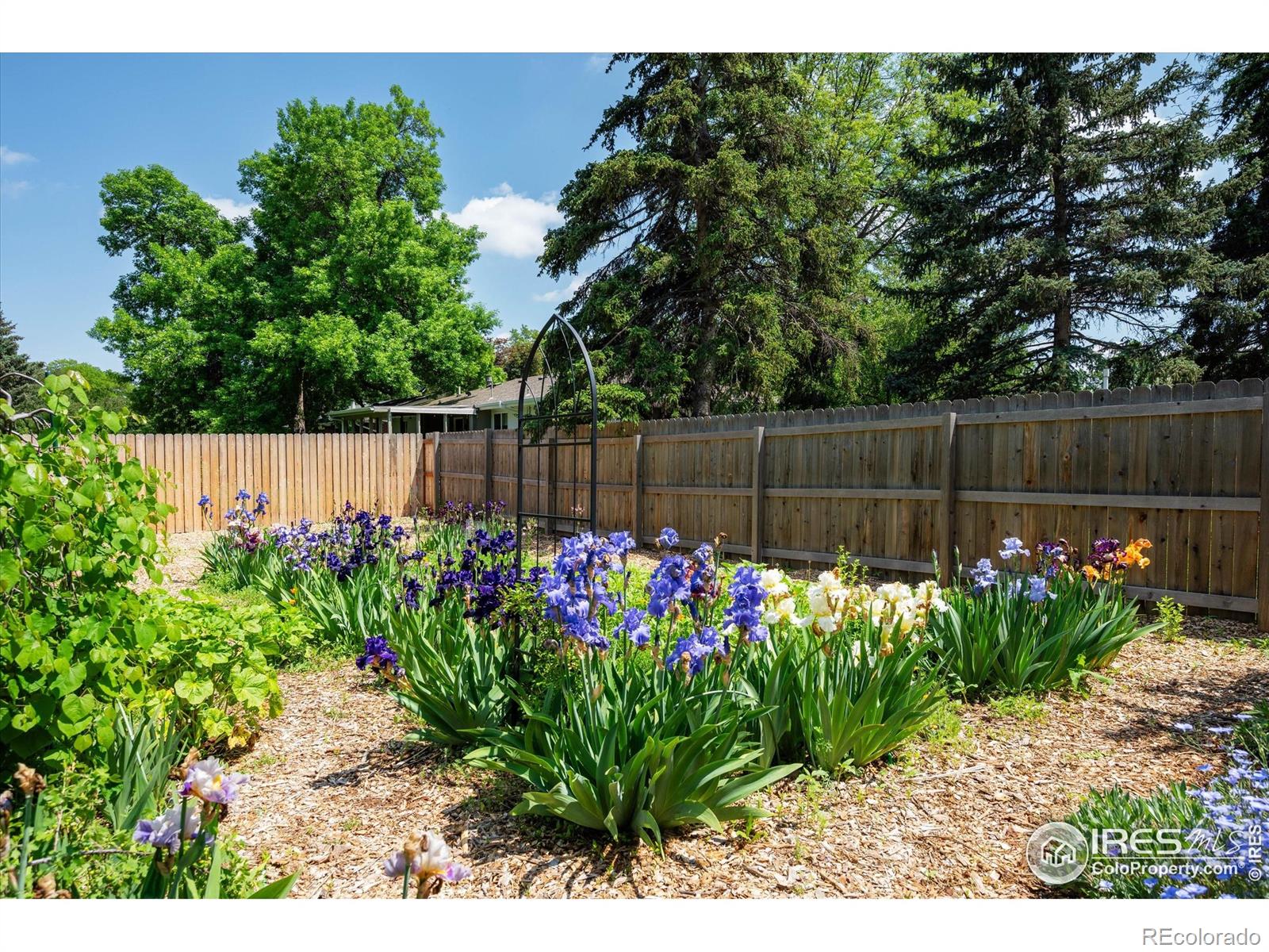 MLS Image #36 for 405  duke lane,fort collins, Colorado
