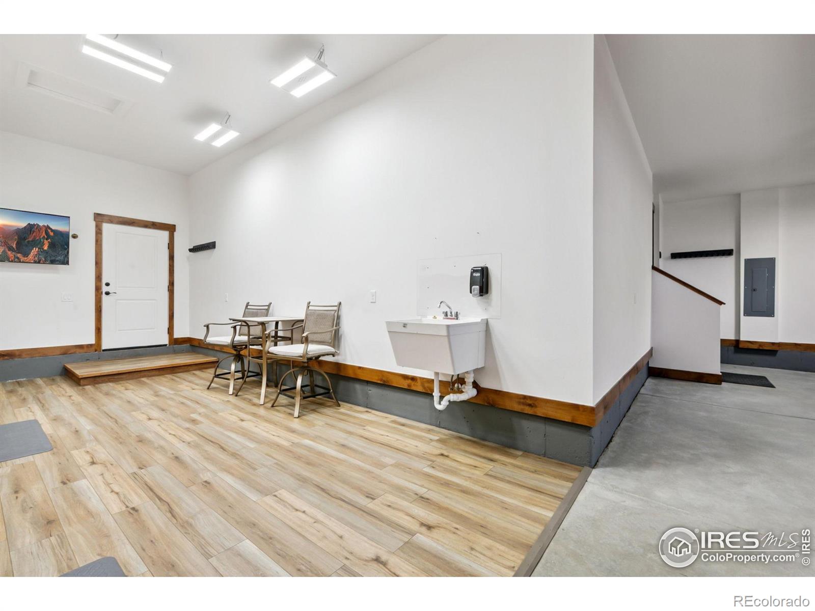 MLS Image #6 for 1646  marbeck drive,windsor, Colorado