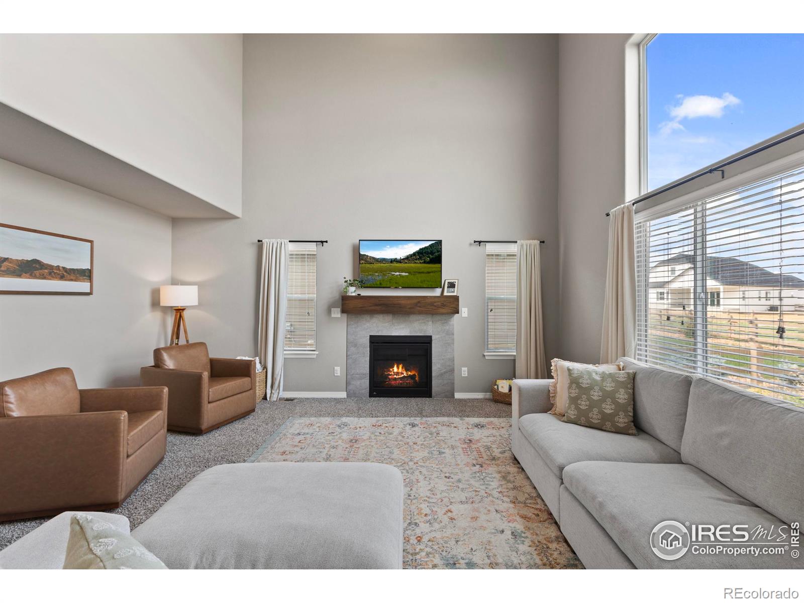 MLS Image #10 for 1430  larimer ridge parkway,timnath, Colorado