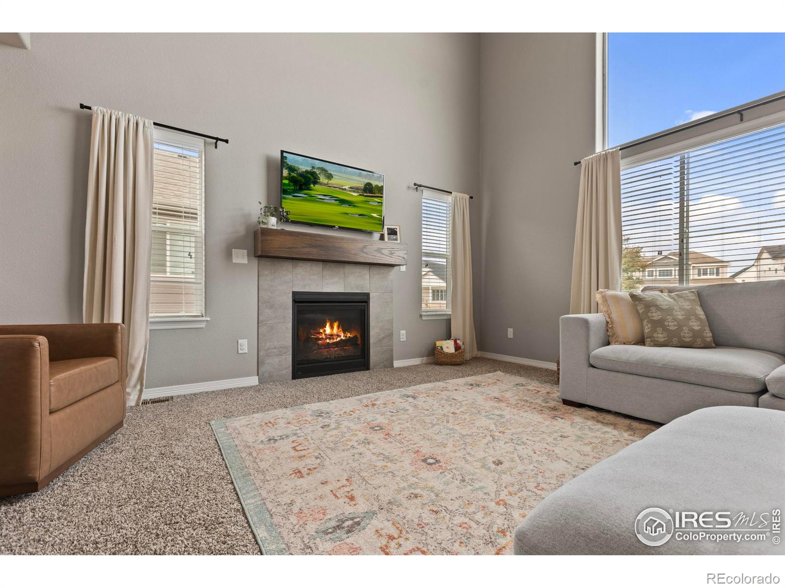 MLS Image #11 for 1430  larimer ridge parkway,timnath, Colorado