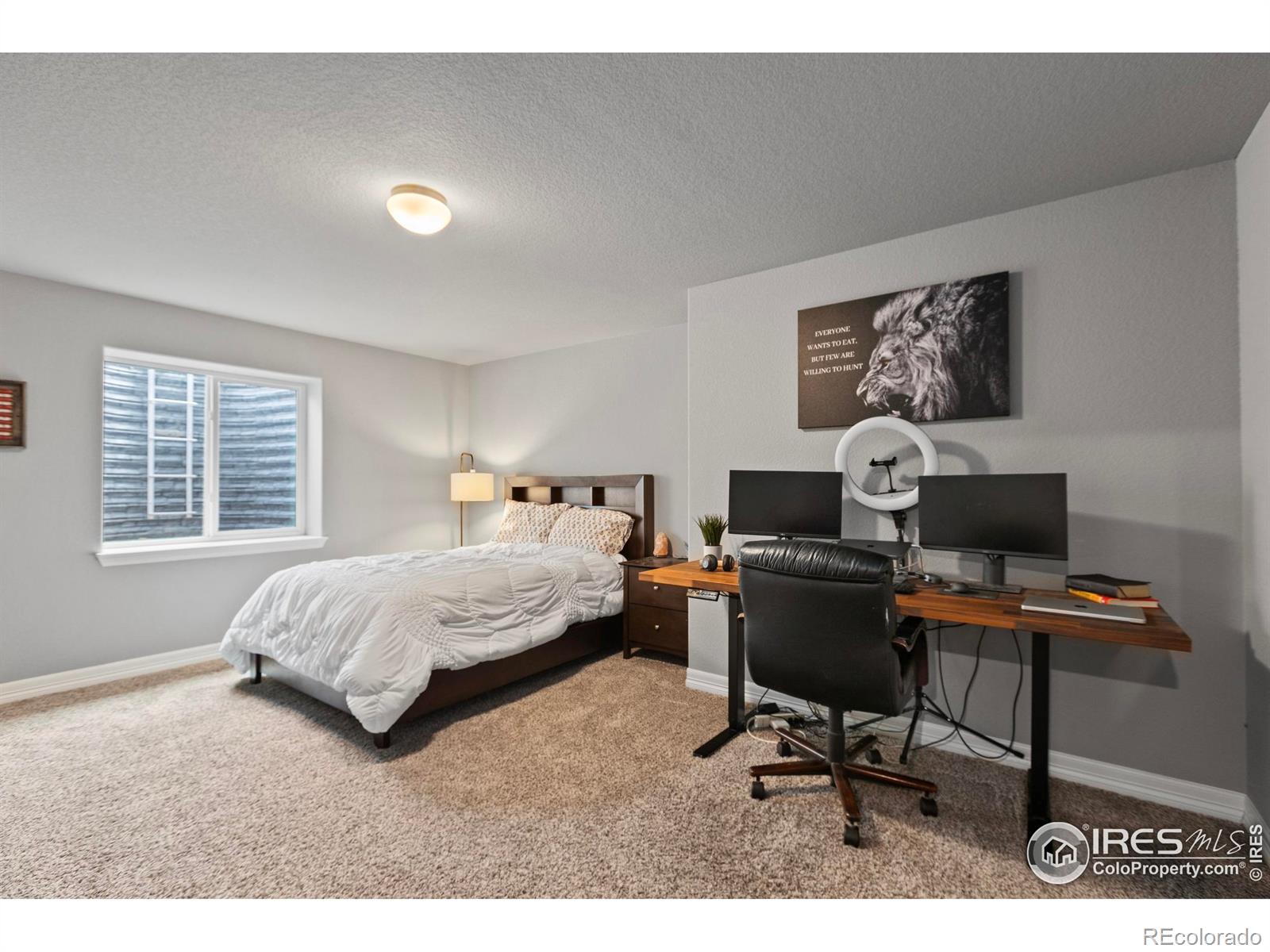 MLS Image #25 for 1430  larimer ridge parkway,timnath, Colorado