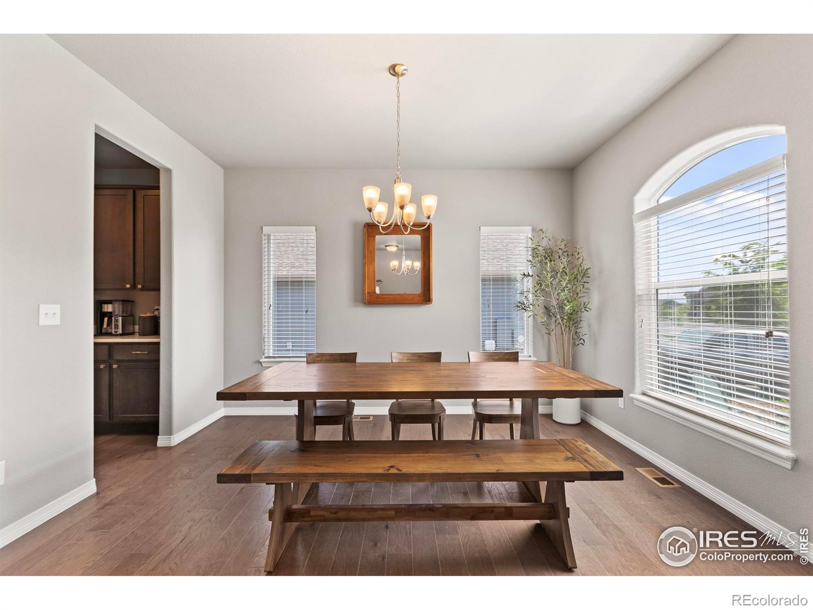 MLS Image #4 for 1430  larimer ridge parkway,timnath, Colorado