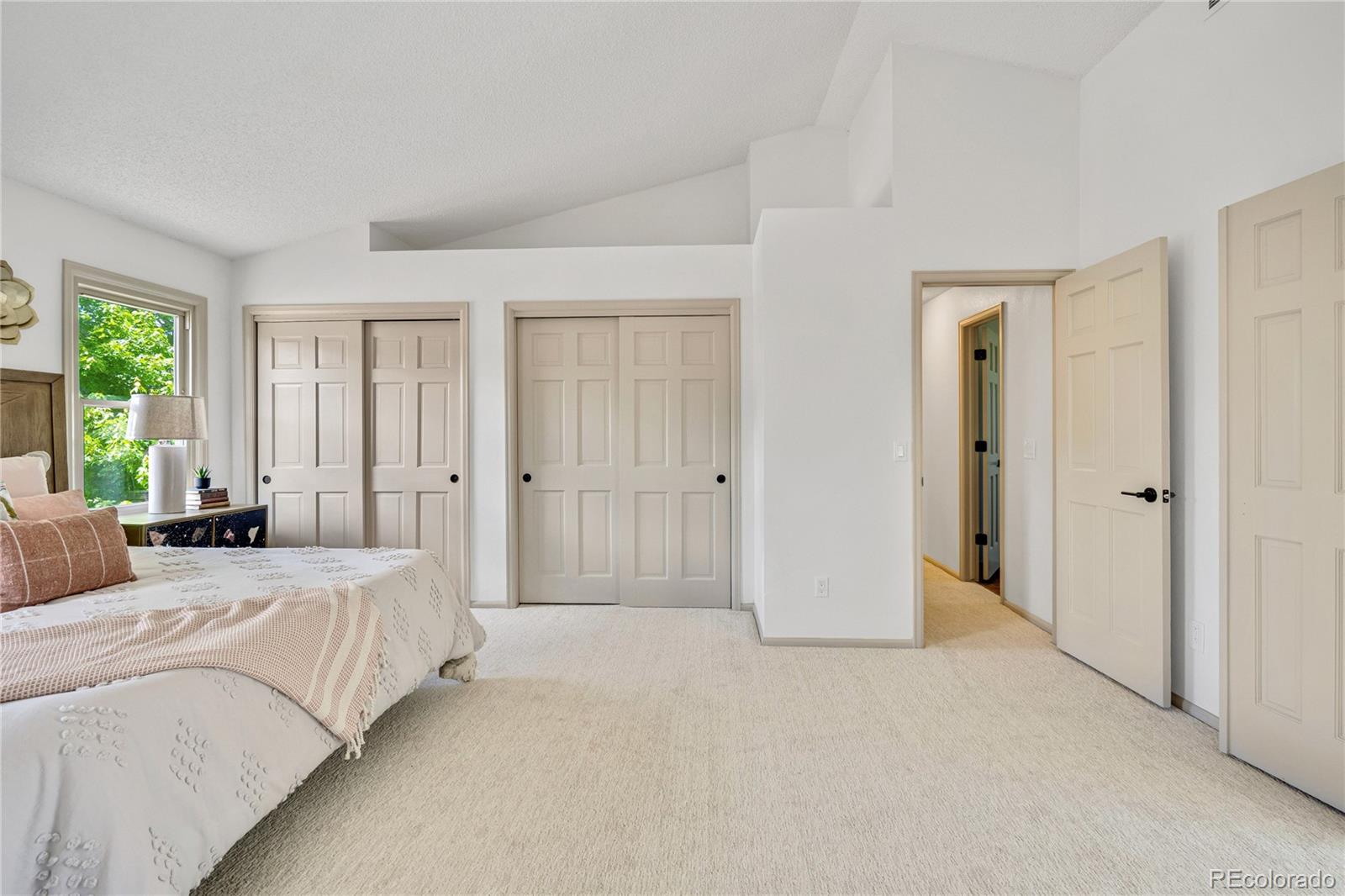 MLS Image #35 for 10016  teton court,lone tree, Colorado