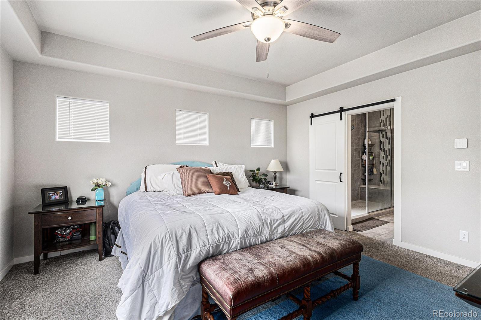 MLS Image #16 for 6330  stonefly drive,colorado springs, Colorado