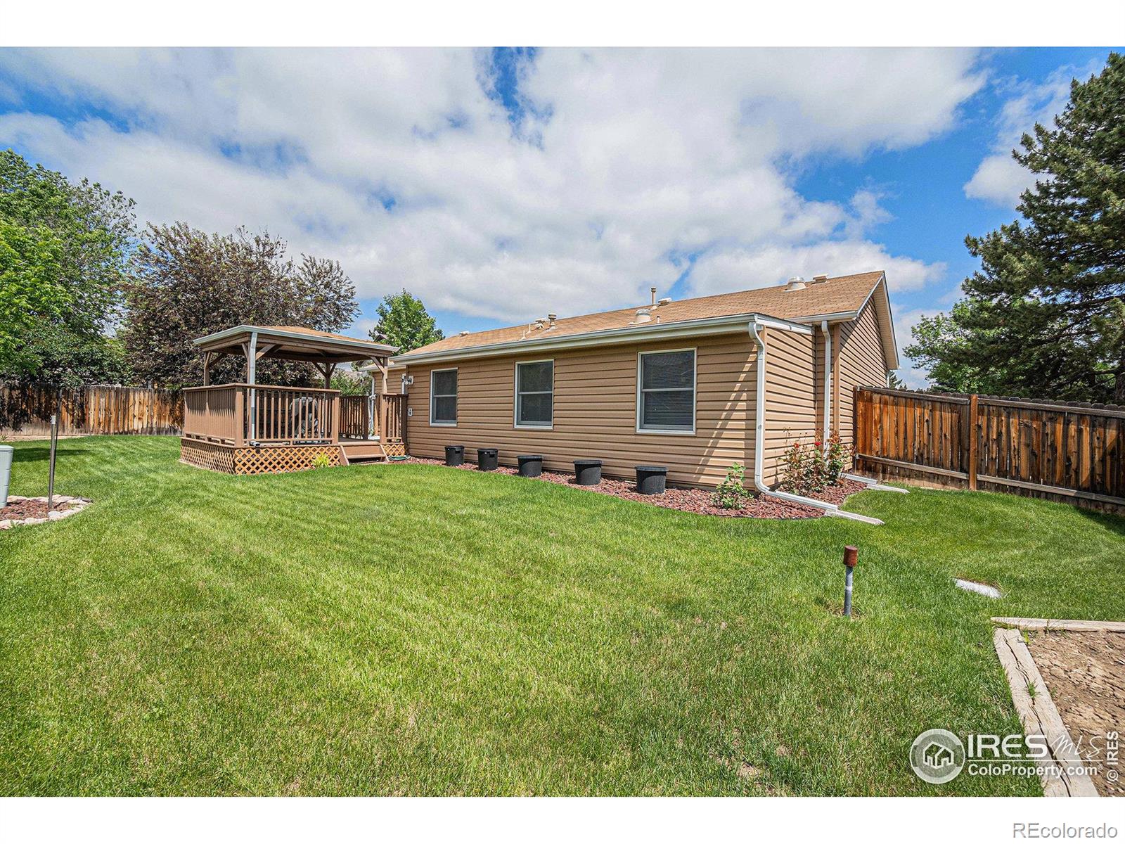 MLS Image #13 for 926  banyan court,loveland, Colorado