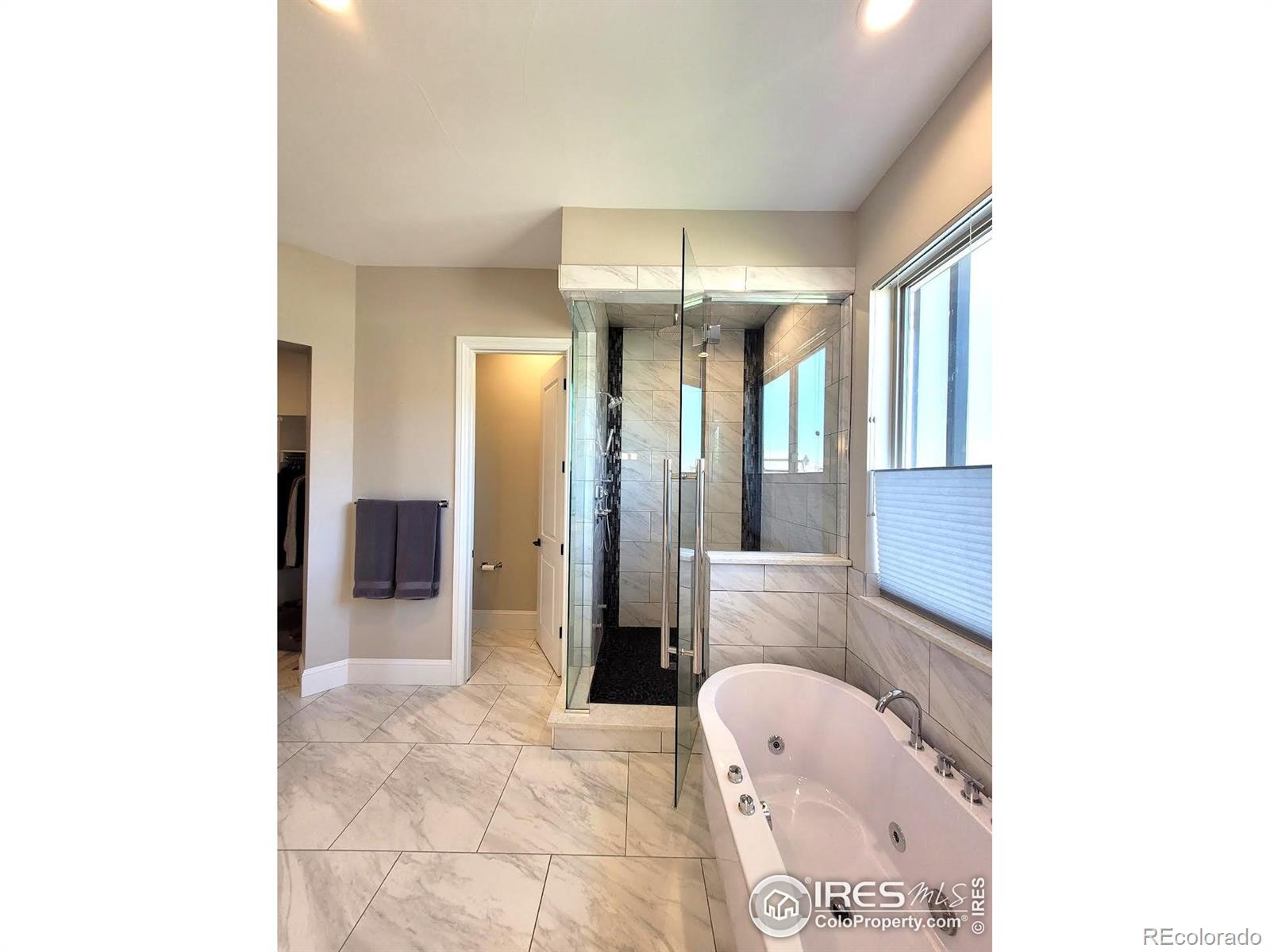 MLS Image #15 for 4236  carroway seed court,johnstown, Colorado