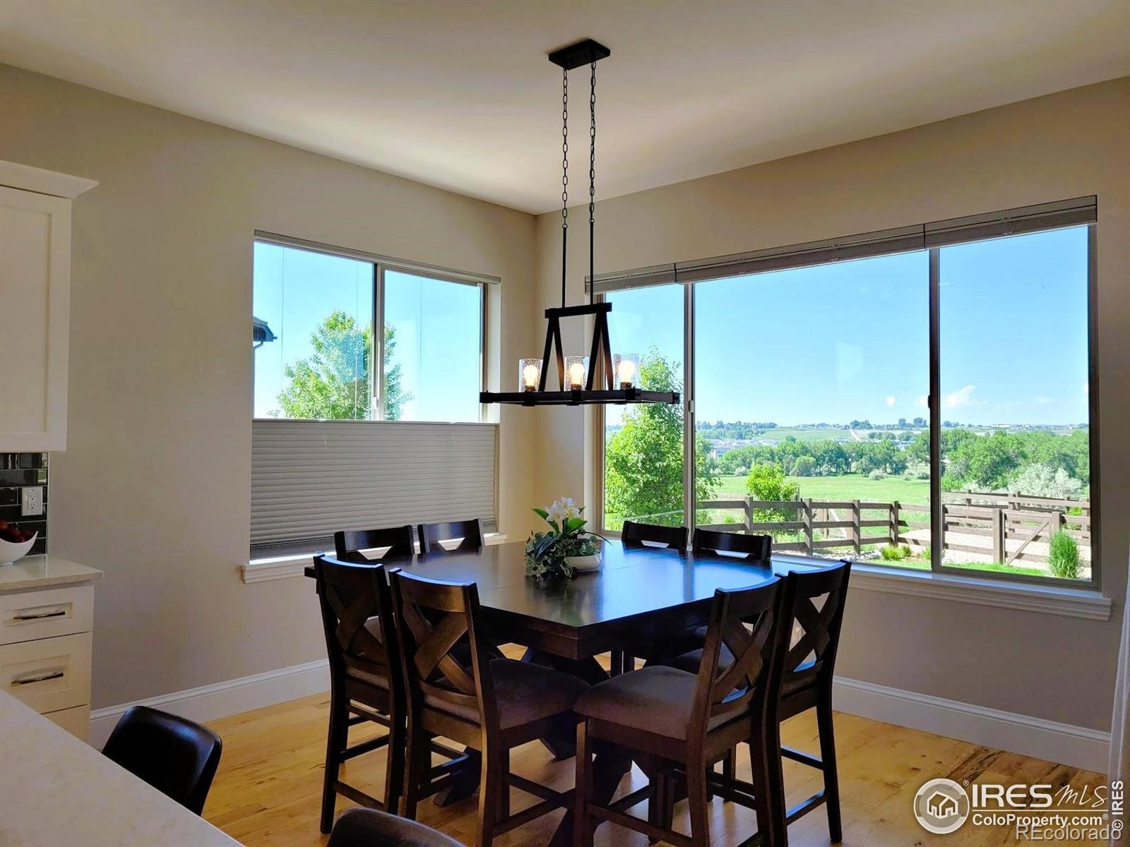 MLS Image #9 for 4236  carroway seed court,johnstown, Colorado