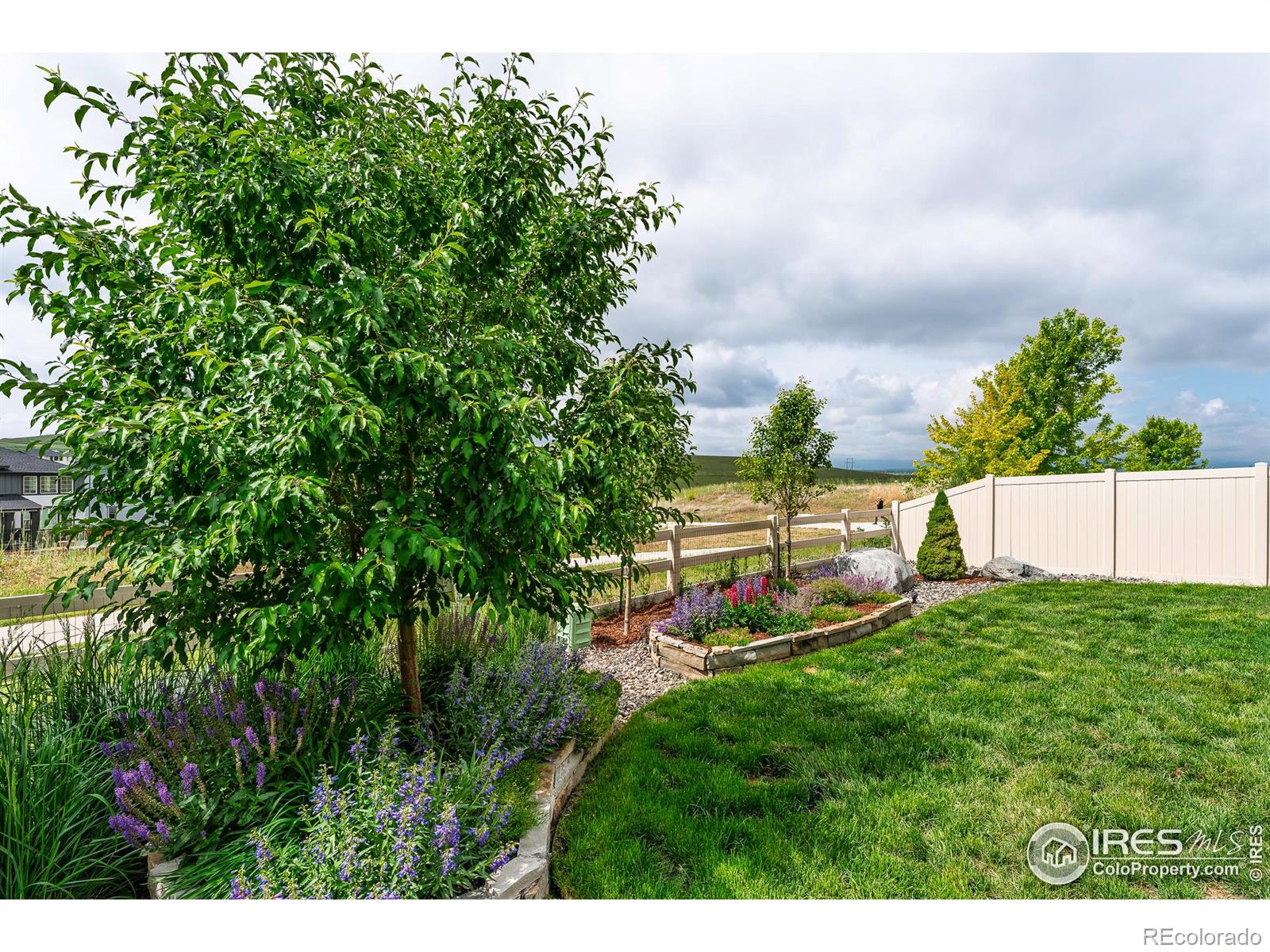 MLS Image #28 for 970  auburn drive,erie, Colorado