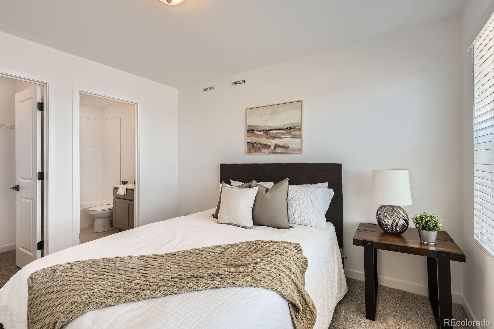 MLS Image #18 for 374 n geneva street,aurora, Colorado
