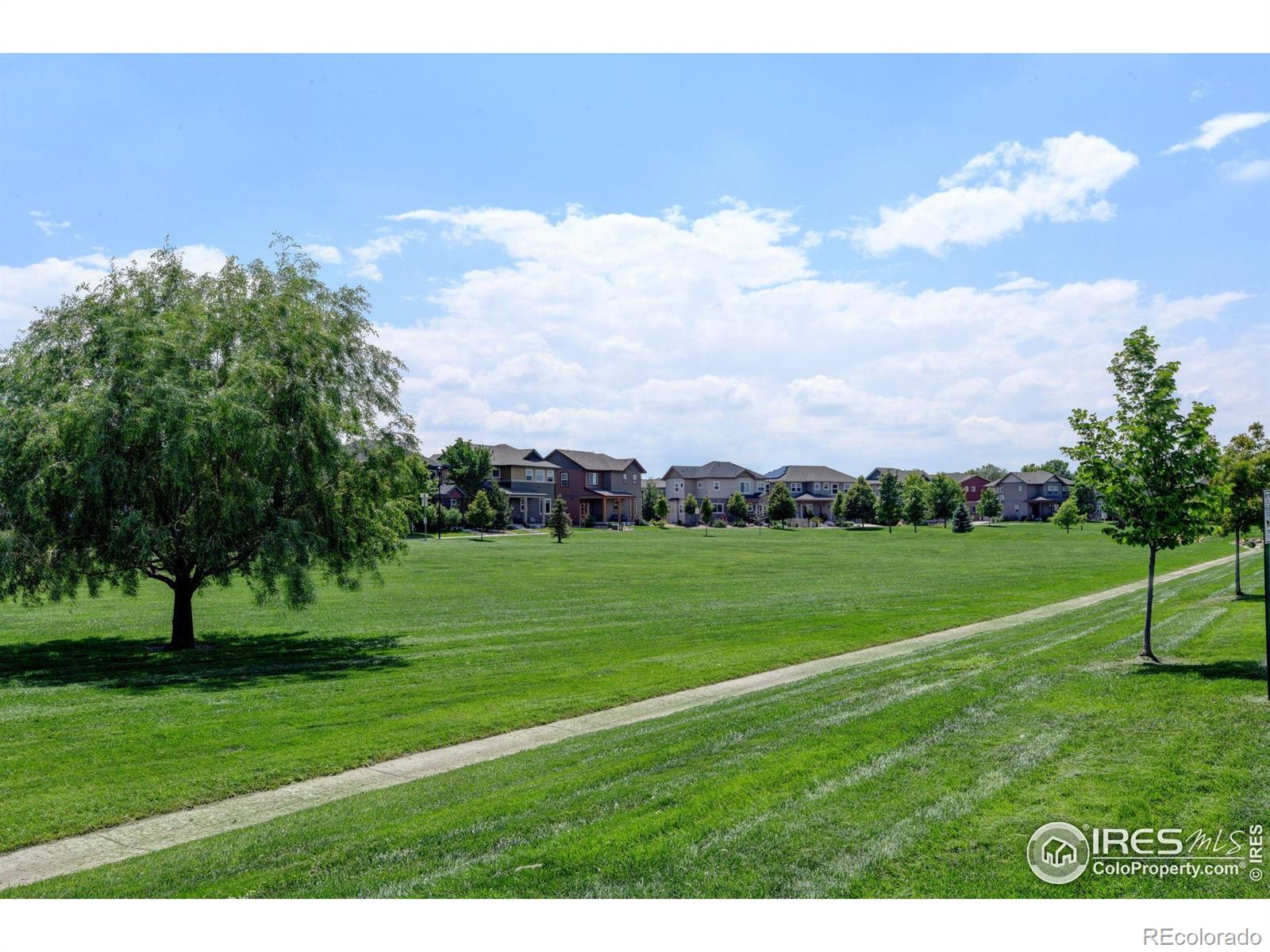 MLS Image #39 for 1240  wren court,longmont, Colorado