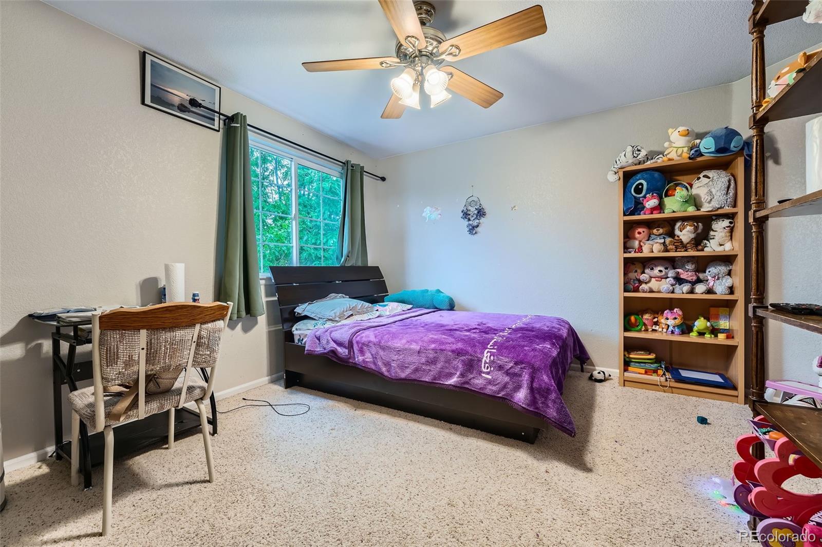 MLS Image #18 for 6526 s killarney court,aurora, Colorado