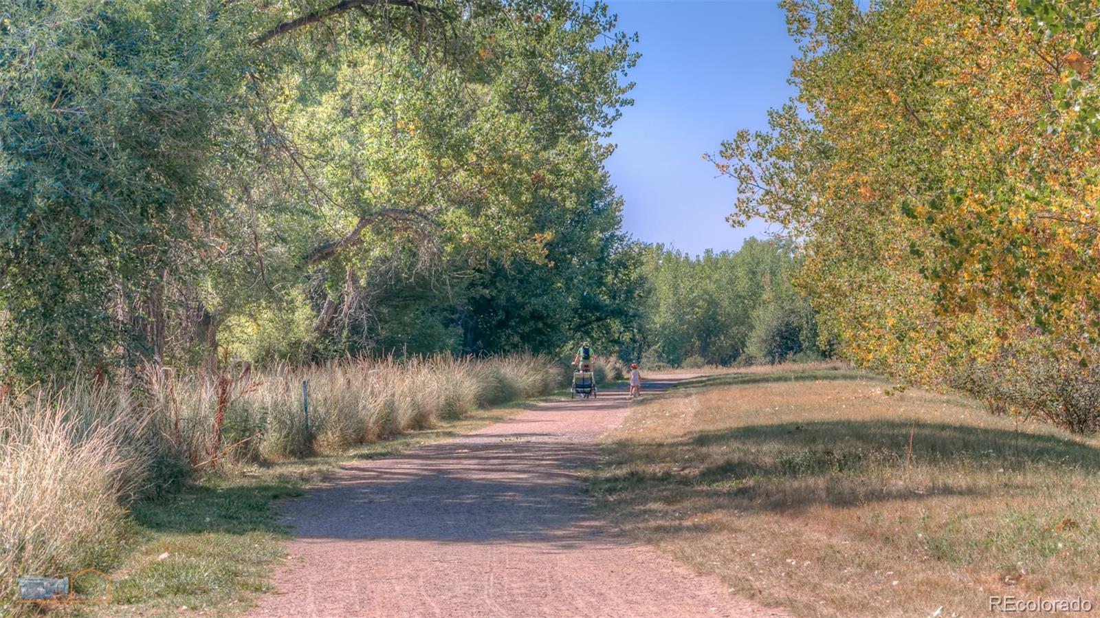 MLS Image #41 for 2425  waneka lake trail,lafayette, Colorado