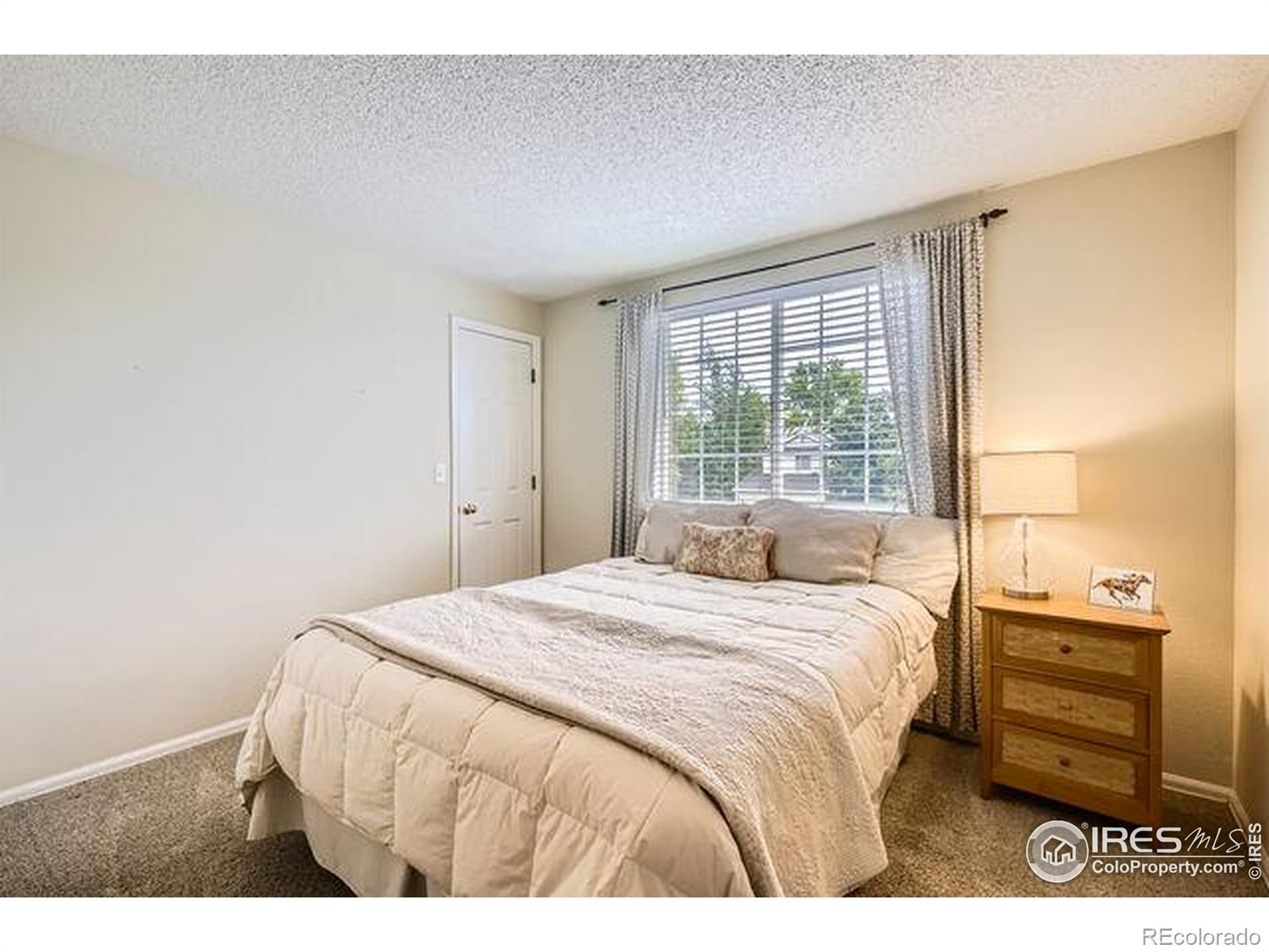 MLS Image #19 for 1641  cedarwood drive,longmont, Colorado