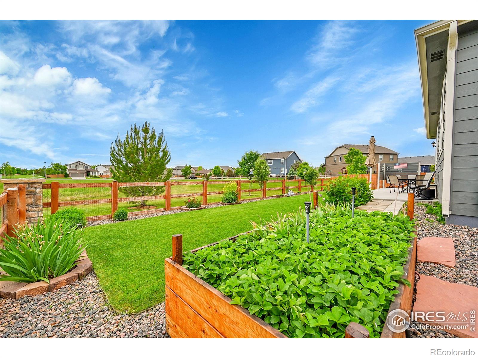 MLS Image #23 for 1663  clarendon drive,windsor, Colorado
