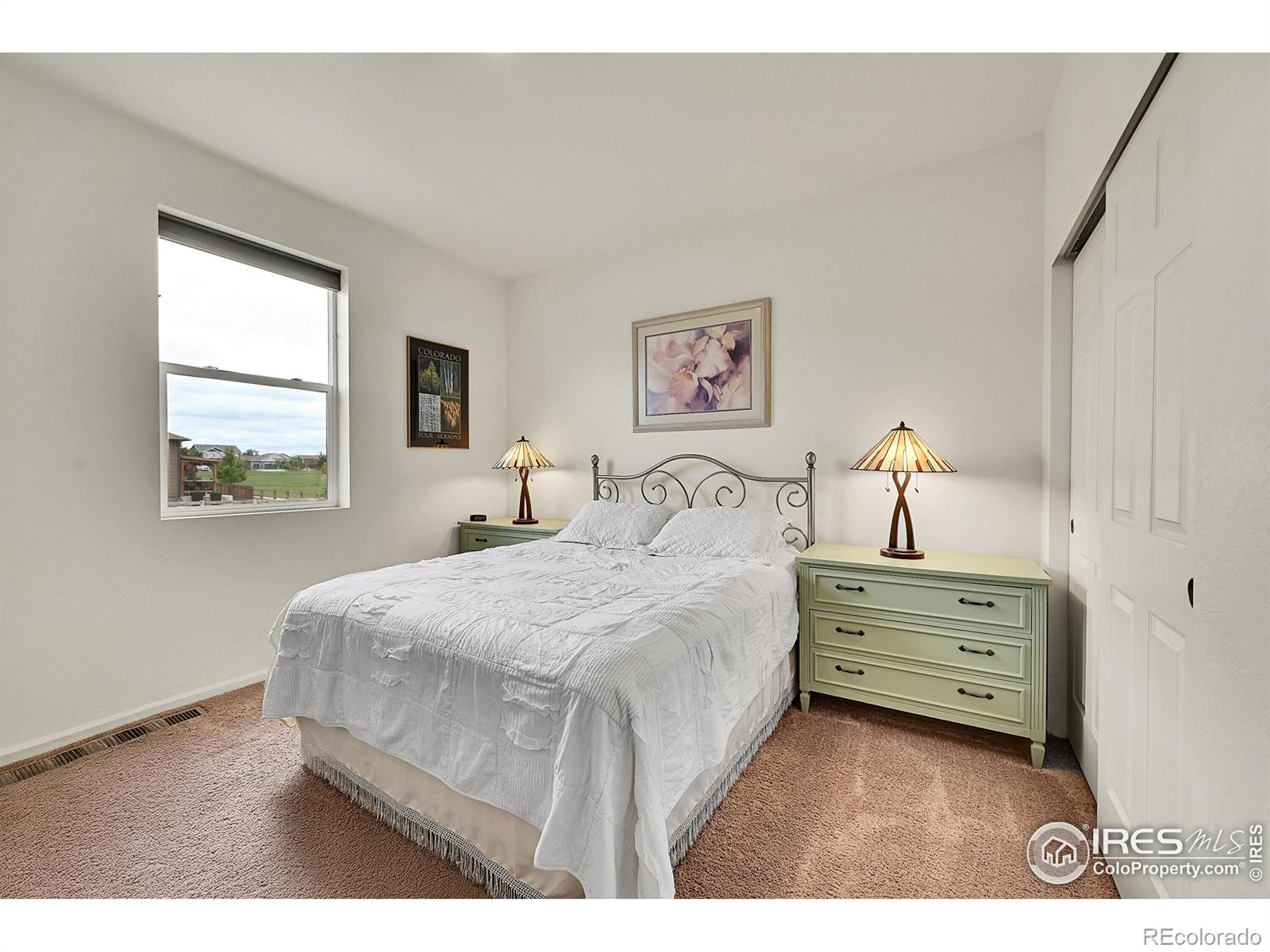 MLS Image #6 for 1663  clarendon drive,windsor, Colorado