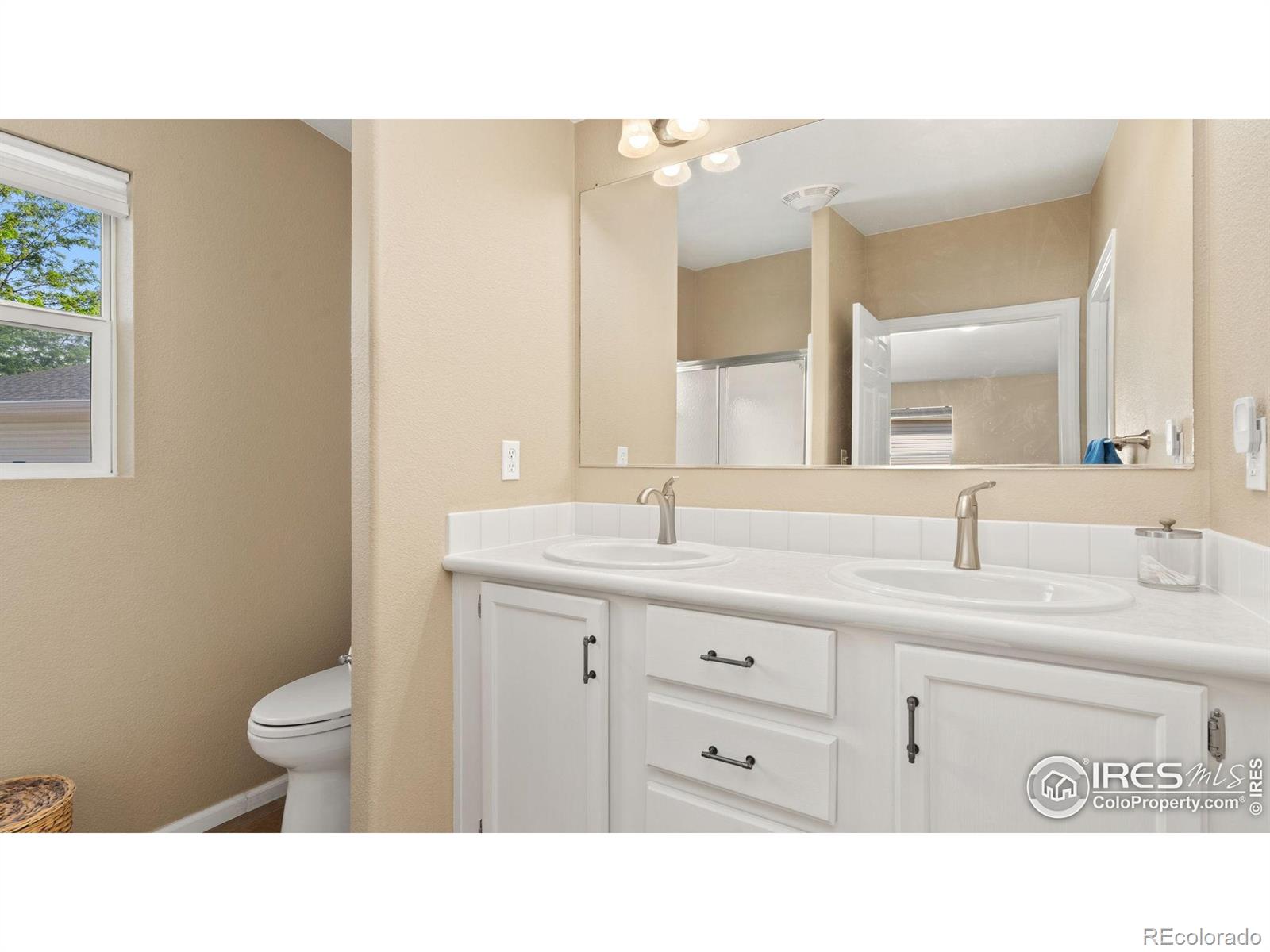 MLS Image #11 for 856  sunchase drive,fort collins, Colorado