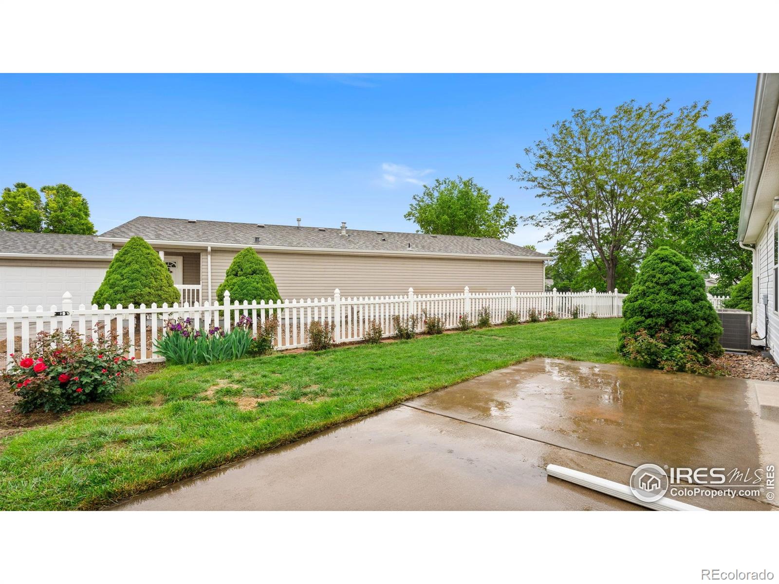 MLS Image #13 for 856  sunchase drive,fort collins, Colorado