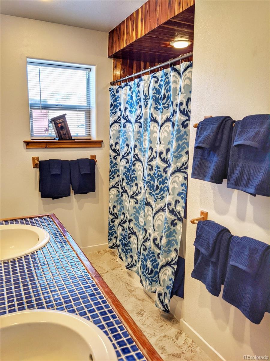 MLS Image #7 for 240  fourth street,fairplay, Colorado