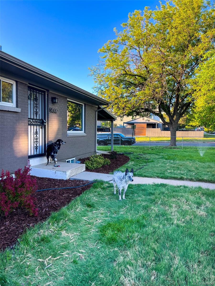 MLS Image #29 for 4300  osage street,denver, Colorado