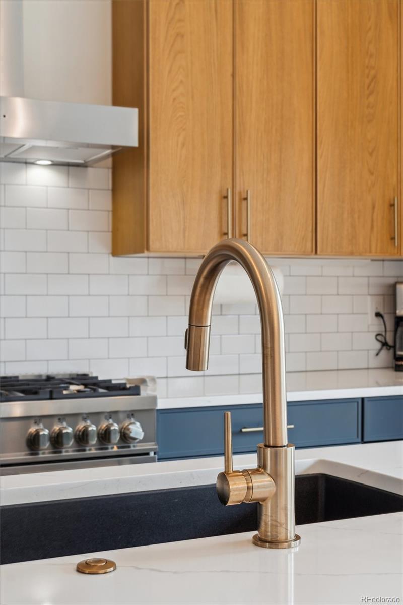 MLS Image #10 for 2244 s lincoln street,denver, Colorado