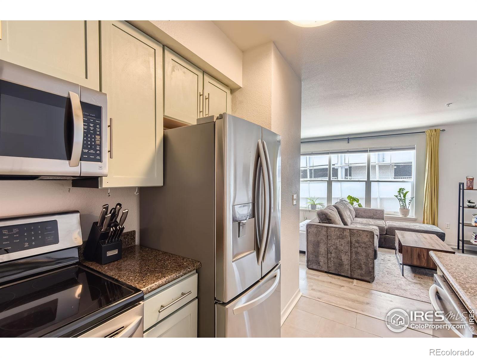 MLS Image #3 for 1623  saint paul street,denver, Colorado