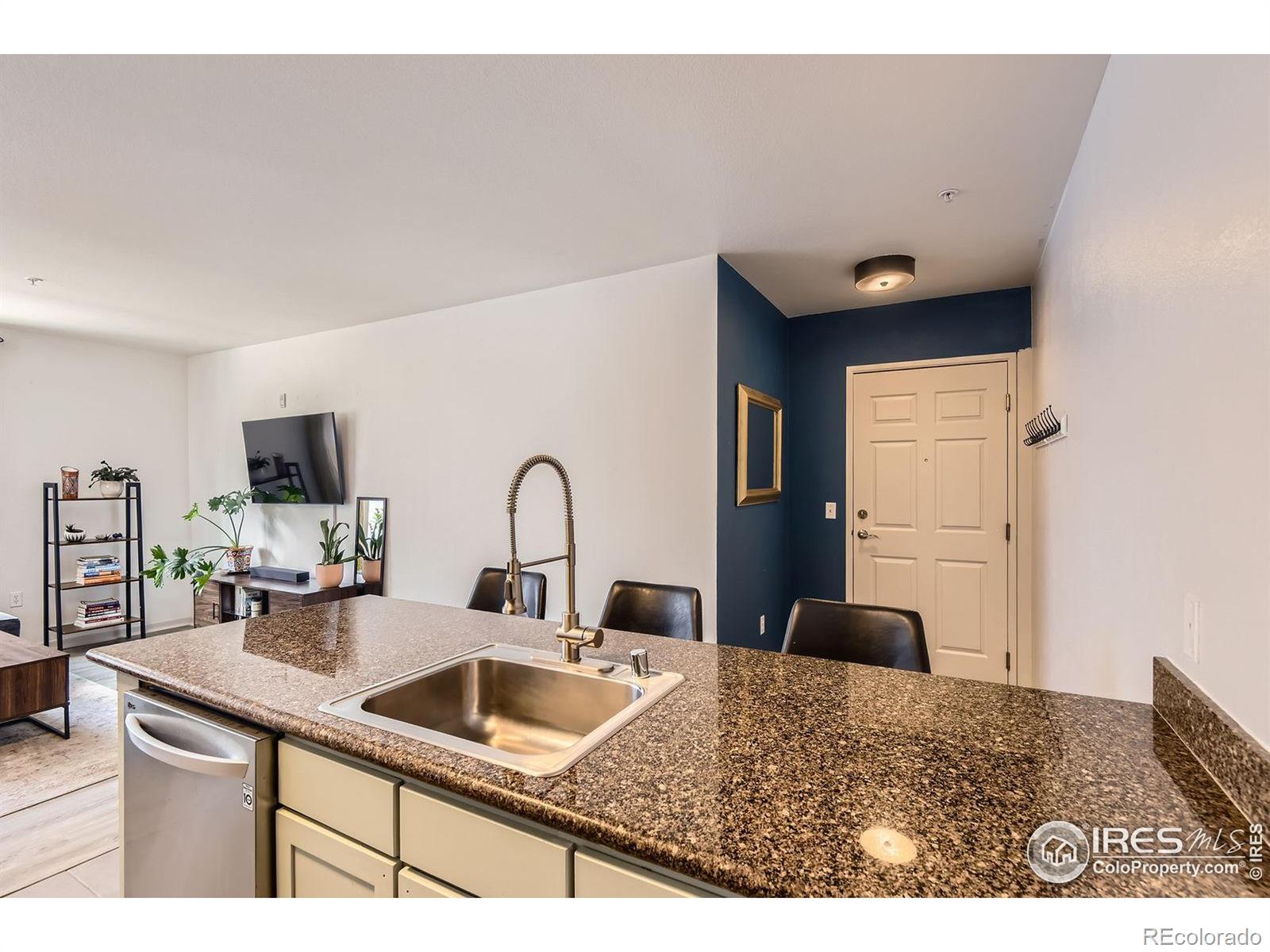 MLS Image #5 for 1623  saint paul street,denver, Colorado