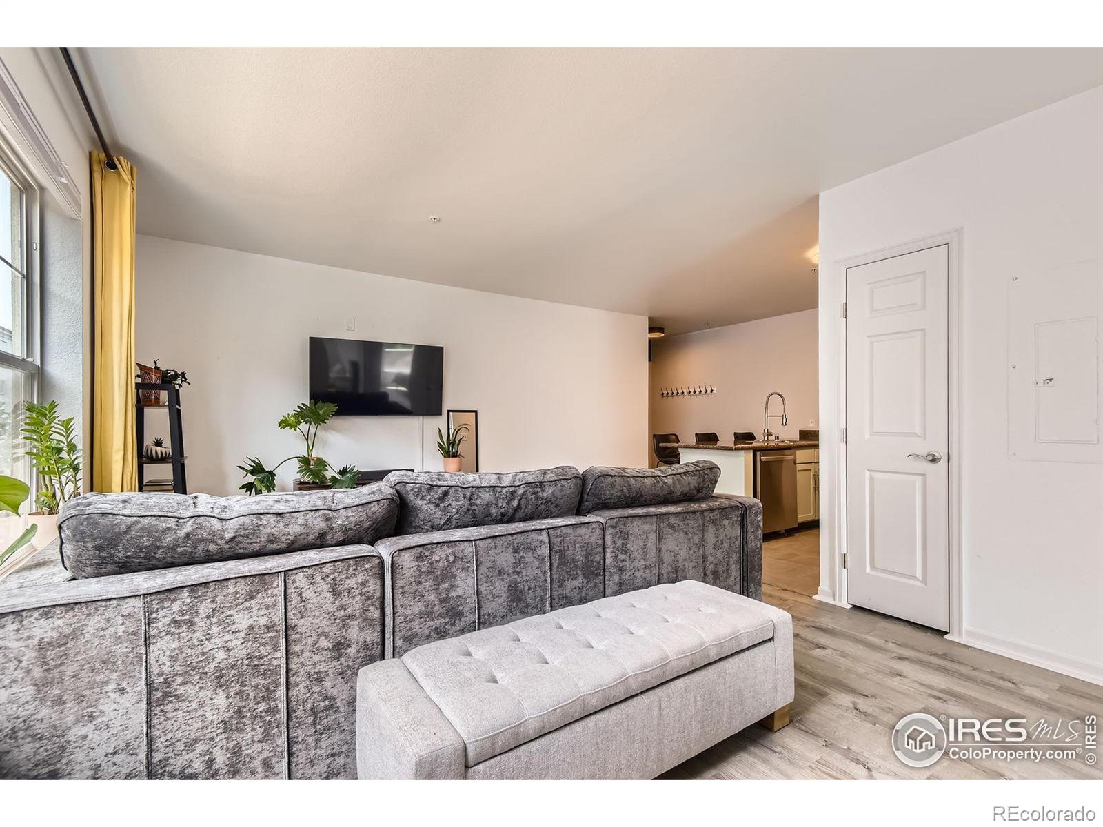 MLS Image #6 for 1623  saint paul street,denver, Colorado