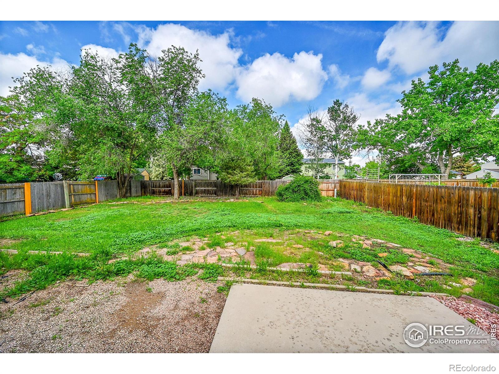 MLS Image #33 for 2113  spencer street,longmont, Colorado